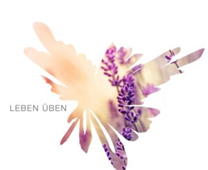 schmetterling-leben-ueben